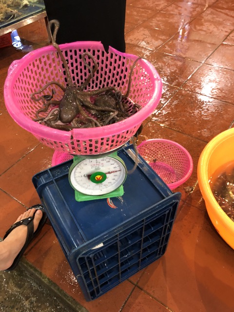 f:id:nortebell:20180215003017j:plain f:id:nortebell:20180215003017j:plain