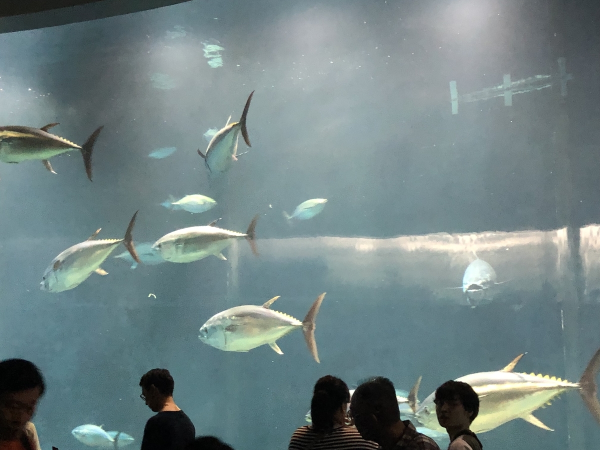 f:id:nortebell:20190730002756j:plain f:id:nortebell:20190730002756j:plain