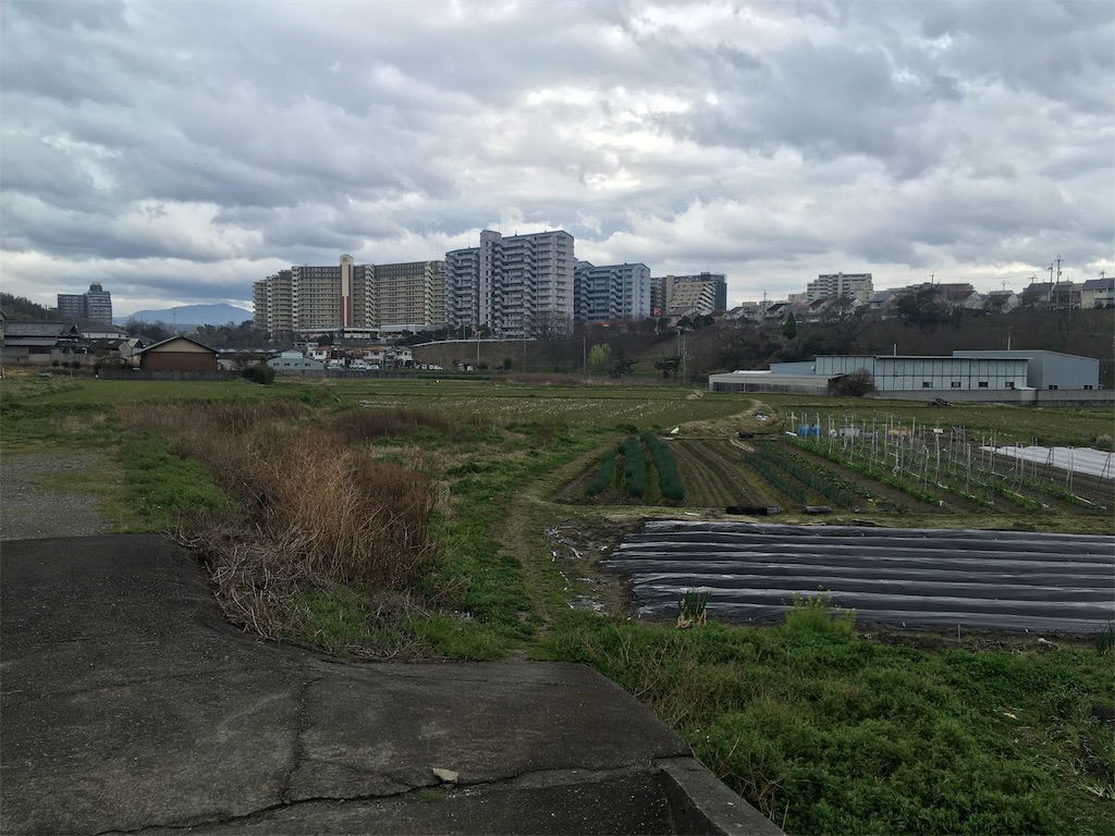 f:id:north-urawa-takao:20190329230245j:image f:id:north-urawa-takao:20190329230245j:image