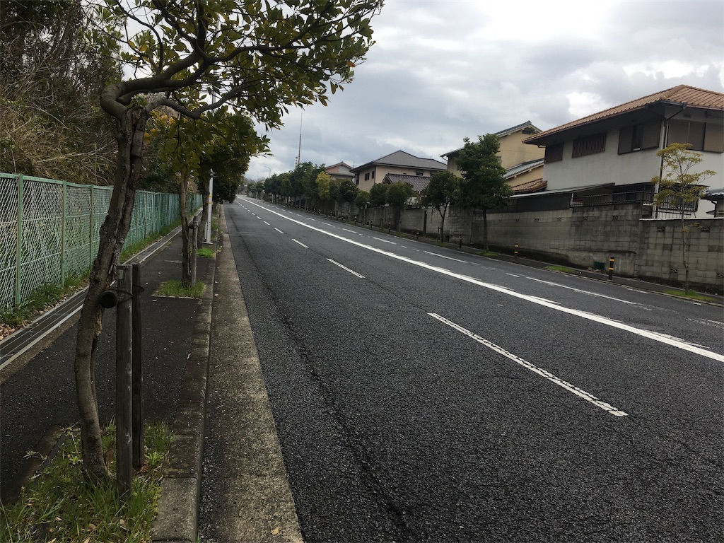 f:id:north-urawa-takao:20190329230831j:image f:id:north-urawa-takao:20190329230831j:image