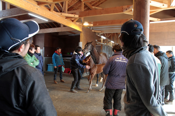 f:id:northernfarm:20180322182500p:plain