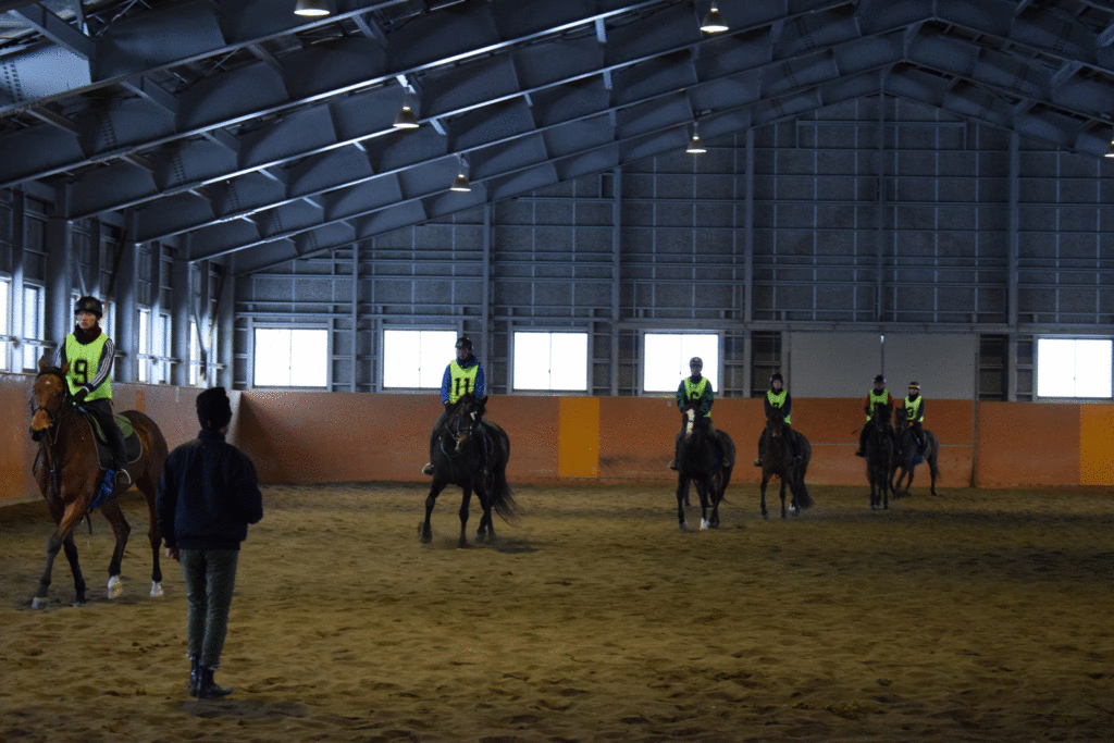 f:id:northernfarm:20180330175726g:plain