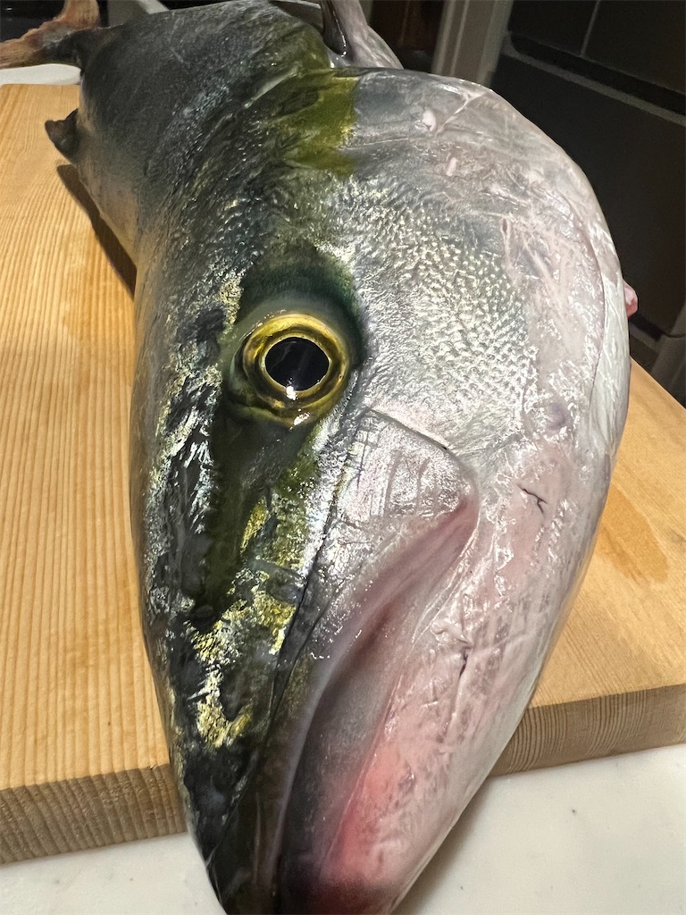 f:id:northernfishing:20230818021446j:image