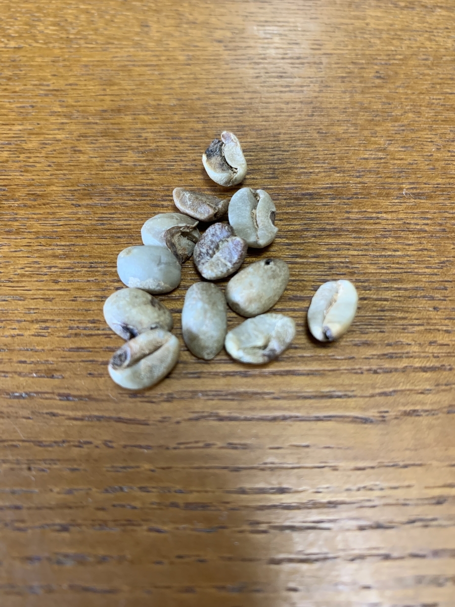 f:id:northkeisho:20190317165637j:plain
