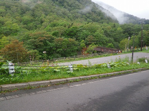 P8140407.jpg