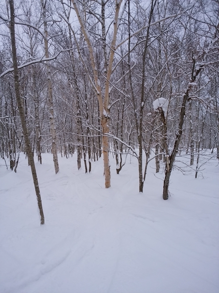 f:id:northland33:20180211191752j:plain f:id:northland33:20180211191752j:plain