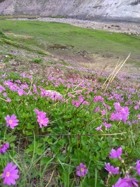 f:id:northland33:20180806132531j:image