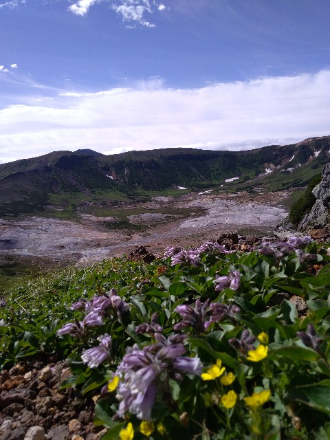 f:id:northland33:20180806133105j:image
