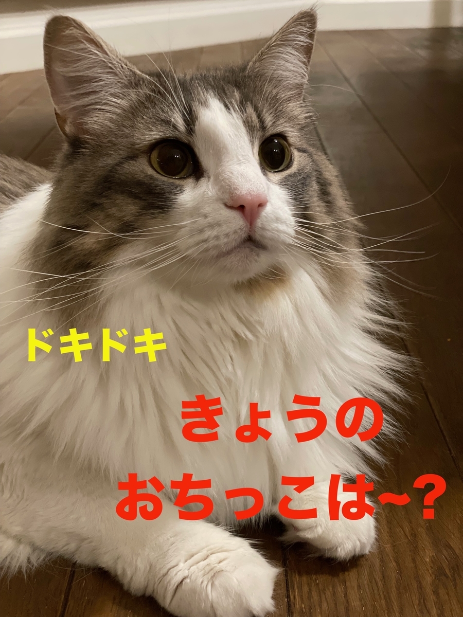 f:id:noru-minineko:20220320181715j:plain