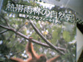 いま読んでる本