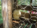 20091031071917