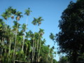20091101160405