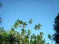 20091101160414