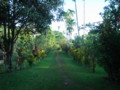 20091101160421