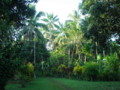 20091101160429