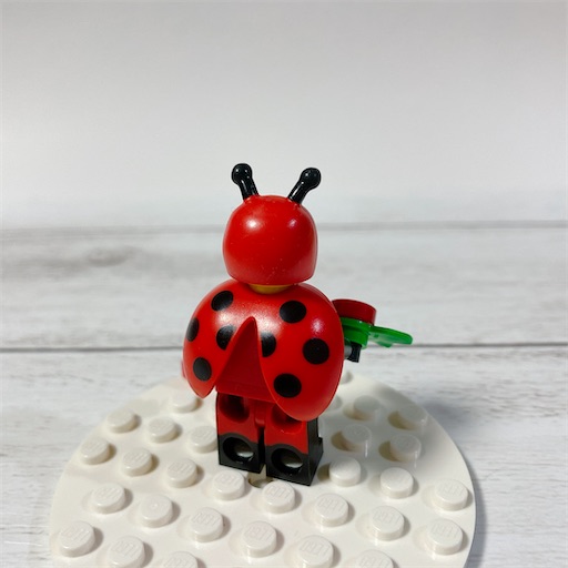 f:id:noshixnoshi:20210228172929j:plain