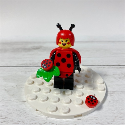 f:id:noshixnoshi:20210228172936j:plain