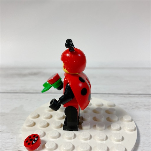 f:id:noshixnoshi:20210228173108j:plain