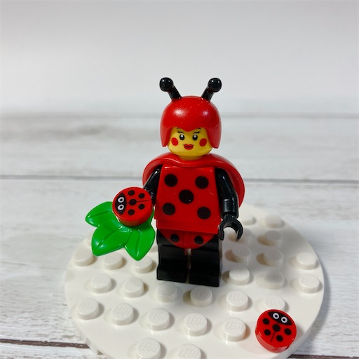 f:id:noshixnoshi:20210228173256j:plain