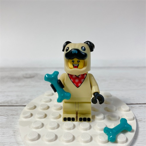 f:id:noshixnoshi:20210228224821j:plain