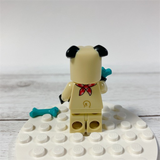 f:id:noshixnoshi:20210228224825j:plain