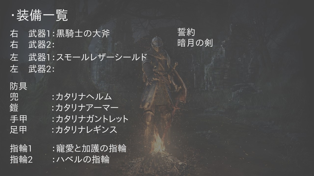 ダークソウルリマスタード ロールプレイ対人 キャラ紹介 黒騎士の大斧カタリナ戦士 ソウルに導かれて ソウルシリーズのブログ