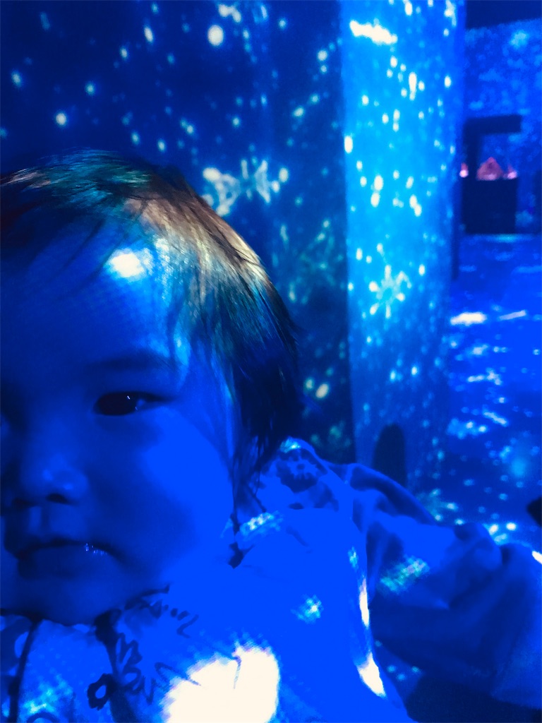 f:id:nost_1219:20200225171943j:image f:id:nost_1219:20200225171943j:image