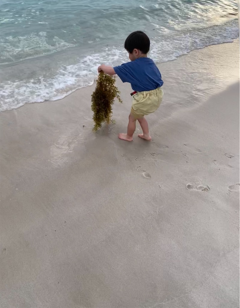 f:id:nost_1219:20250809070137j:image f:id:nost_1219:20250809070137j:image