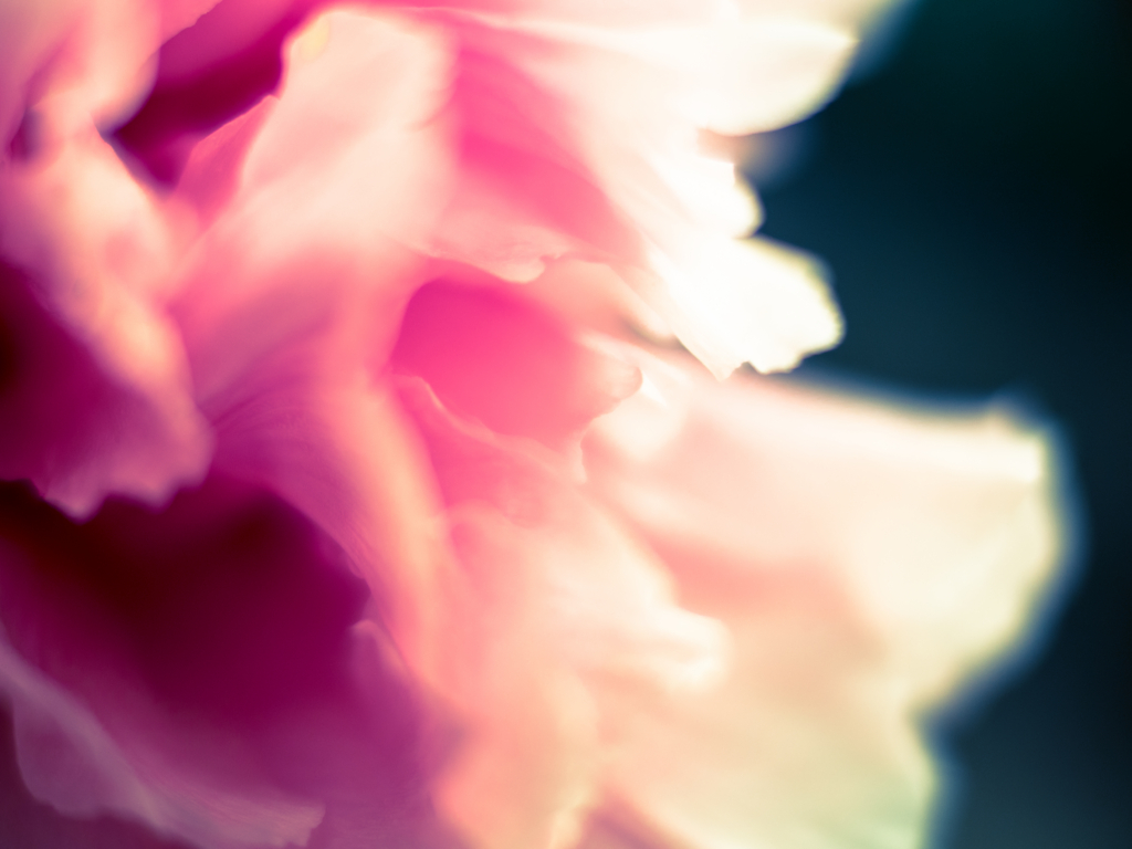 f:id:nostalgie2015:20160629220857j:plain