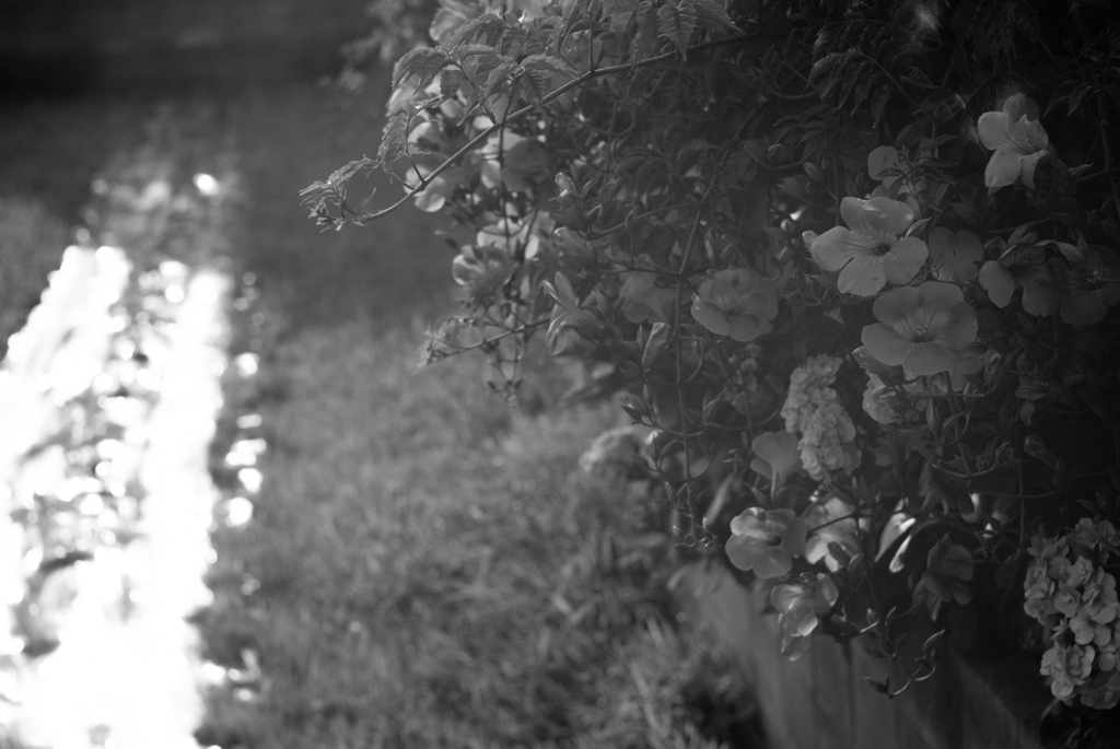 f:id:nostalgie2015:20160706225406j:plain