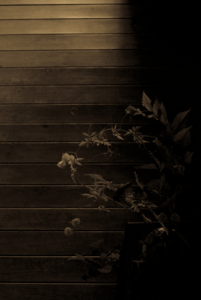 f:id:nostalgie2015:20160904222459j:plain