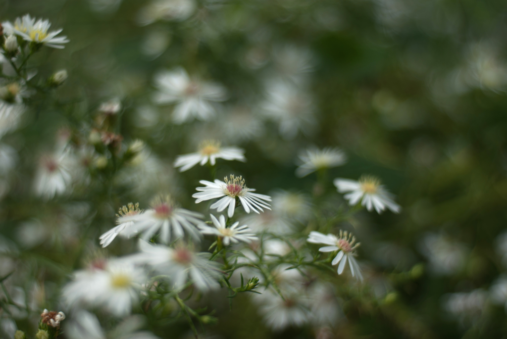 f:id:nostalgie2015:20160926193553j:plain