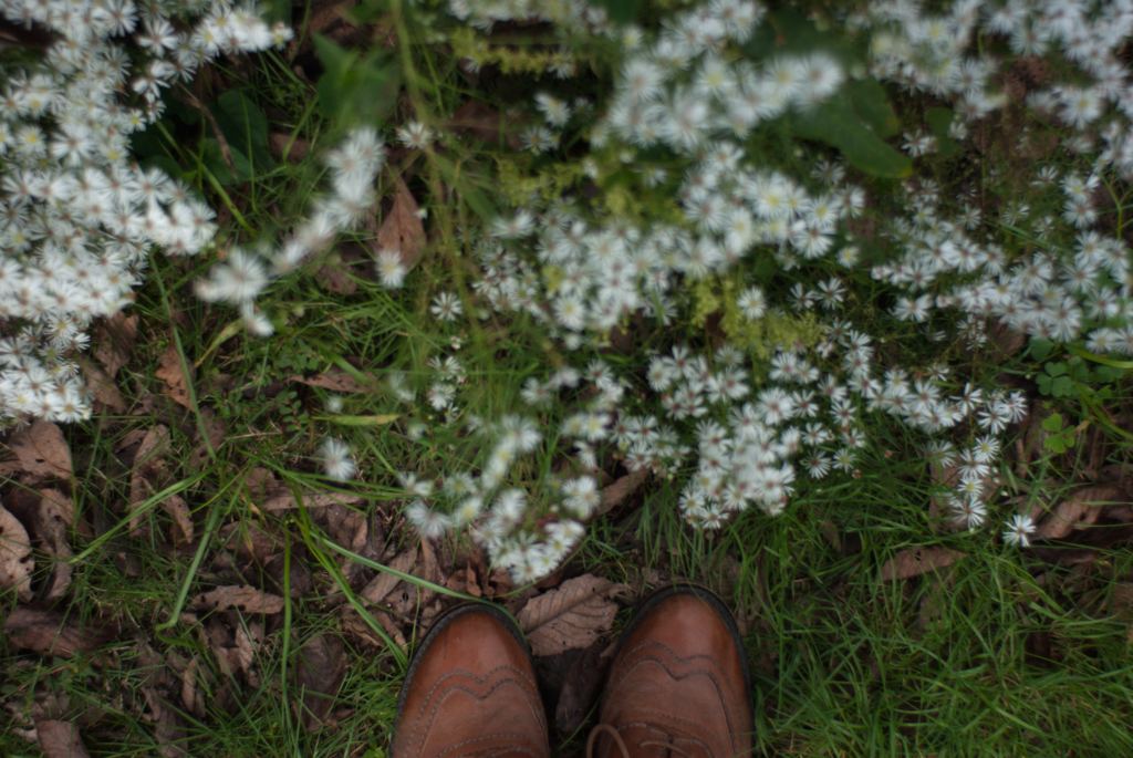 f:id:nostalgie2015:20160926193625j:plain