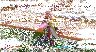 f:id:nosuke0213:20200218022727g:plain
