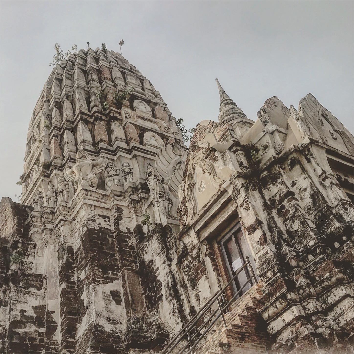 f:id:nosuketan:20190112162311j:image f:id:nosuketan:20190112162311j:image