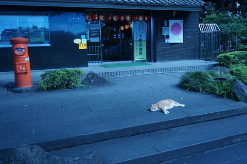 DSC01460