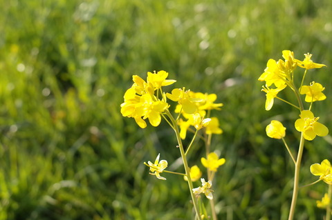 R0000283