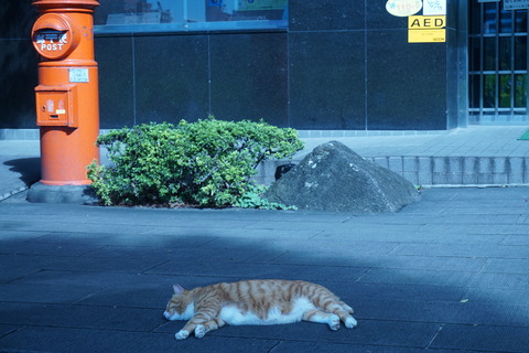 DSC01457