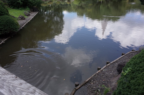 R0000952