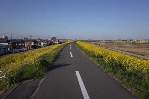 R0000288