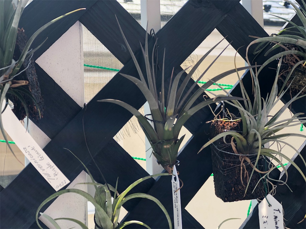 f:id:noswim7:20190927072241j:image