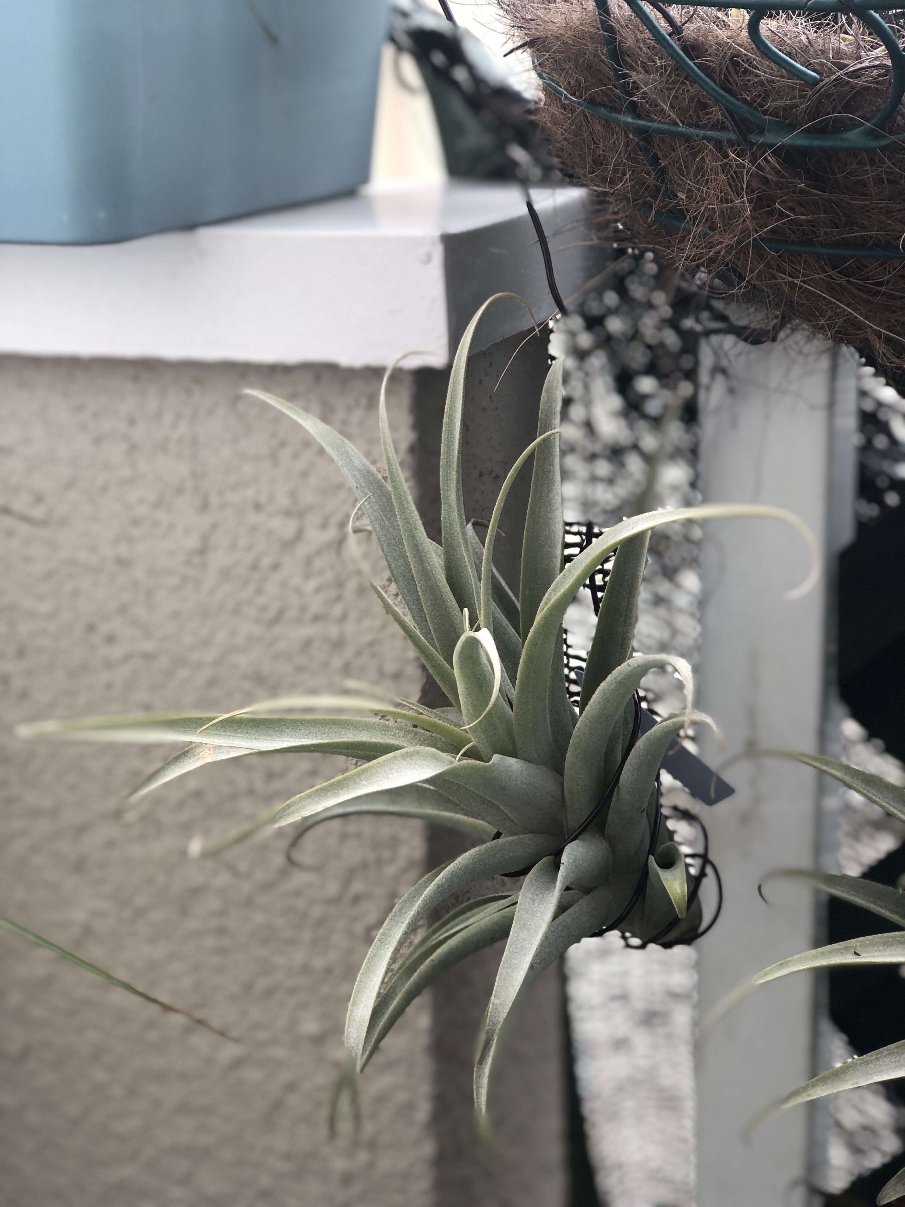 f:id:noswim7:20191009091949j:image