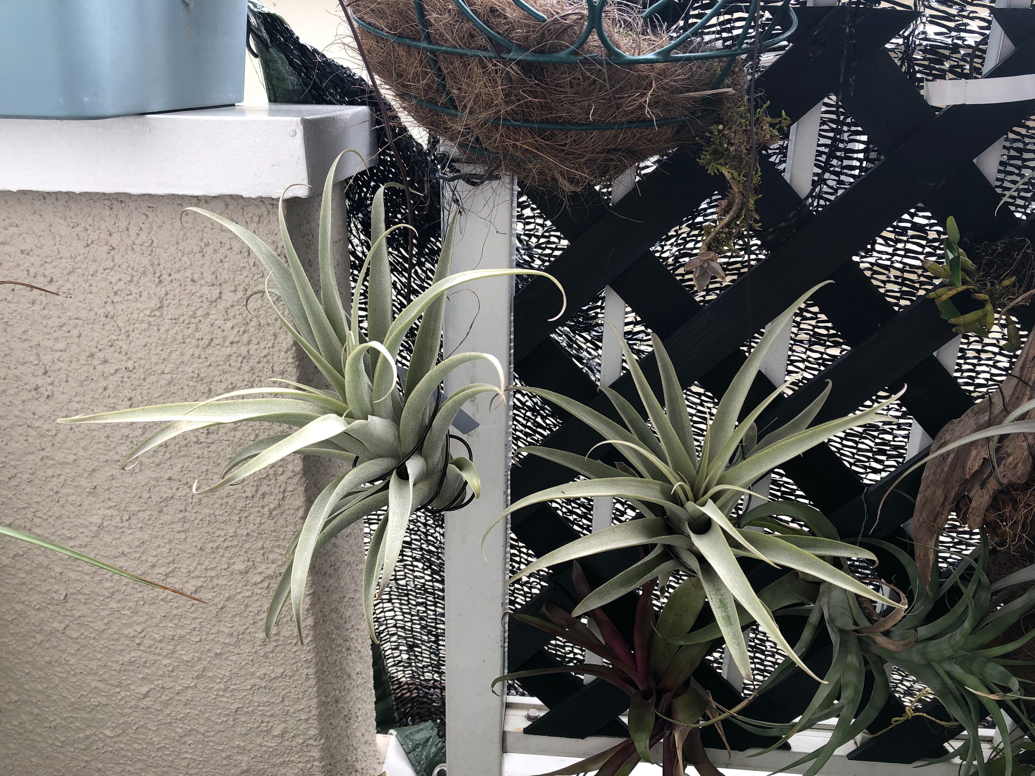 f:id:noswim7:20191009092037j:image