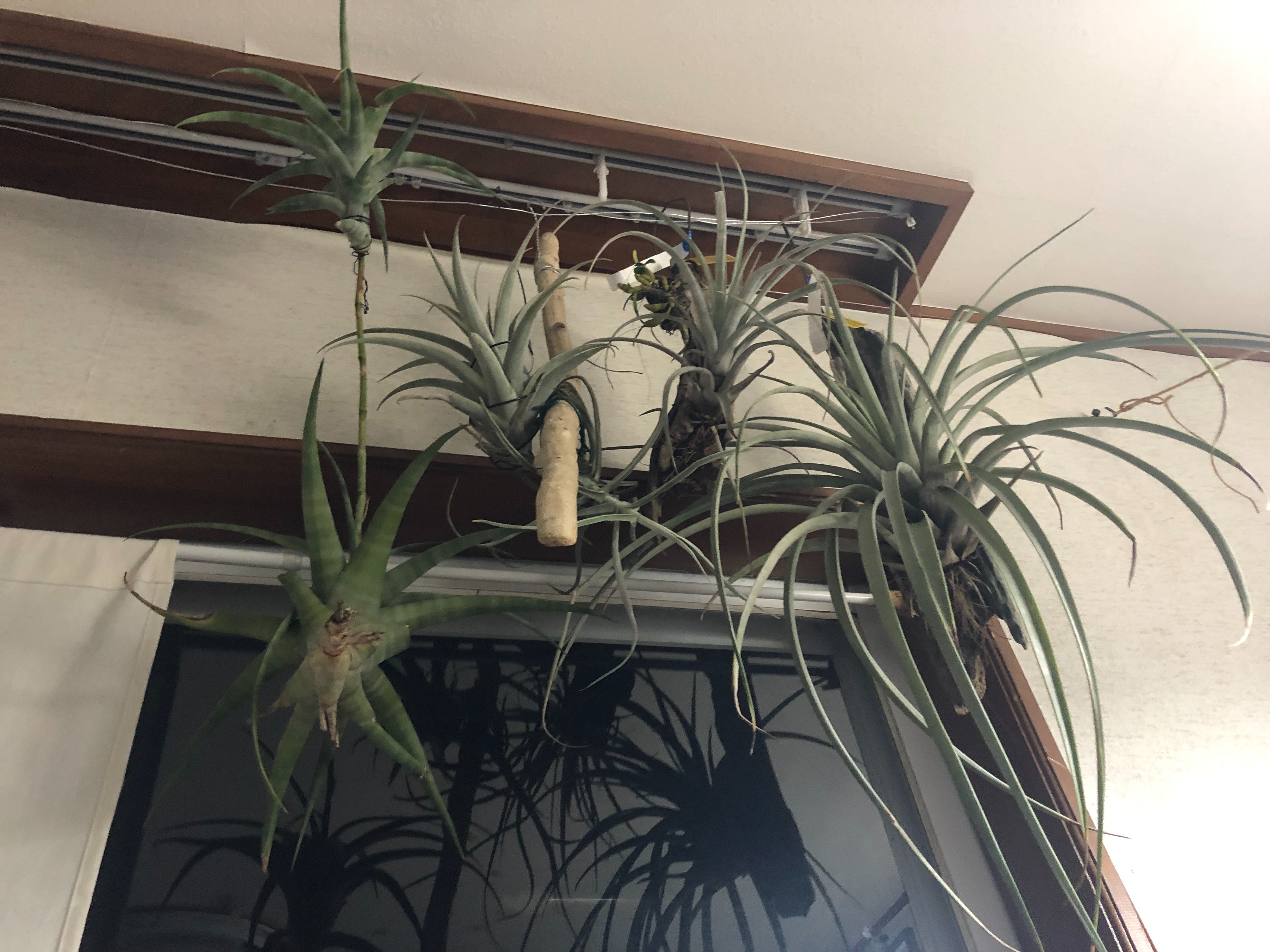 f:id:noswim7:20191201142754j:image