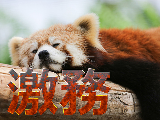 激務