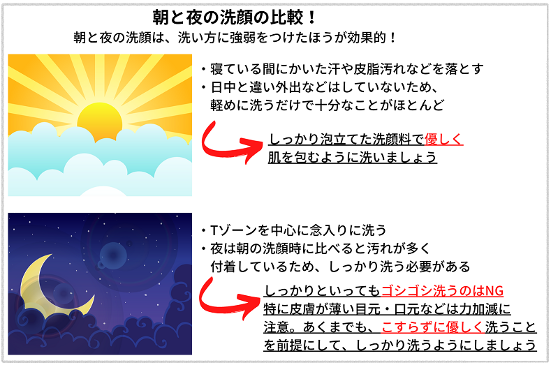 朝と夜の洗顔の比較