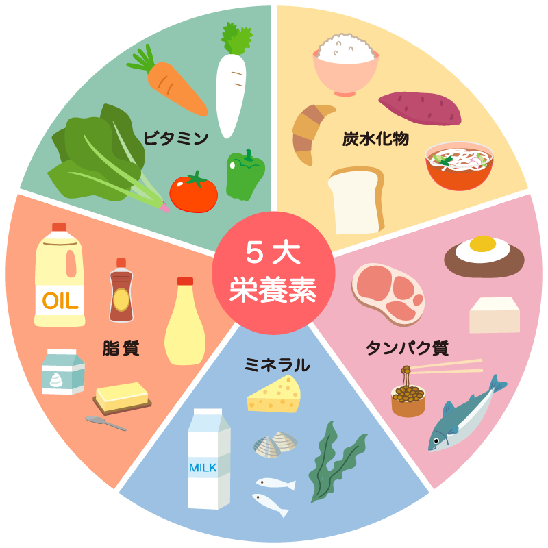5大栄養素