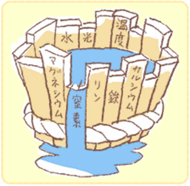 ドべネックの桶