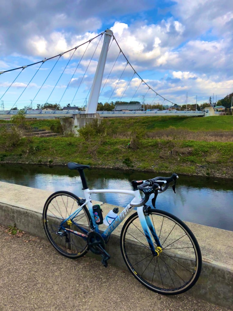 ロードバイク SPECIALIZEDアレー スプリントに乗って思ったこと - 筋肉 