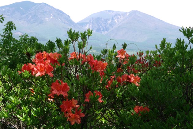 f:id:notahiro:20210527135501j:plain